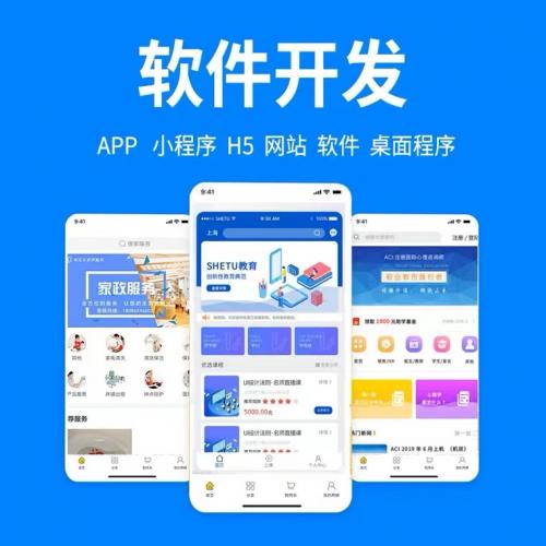承接正规软件开发