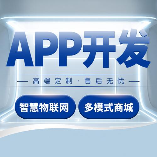 软件开发定制