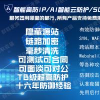 网络安全防护测试