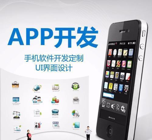 app修改二次开发代码小程序开发定制bug修复api对接java调试二开