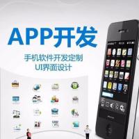 app修改二次开发代码小程序开发定制bug修复api对接java调试二开